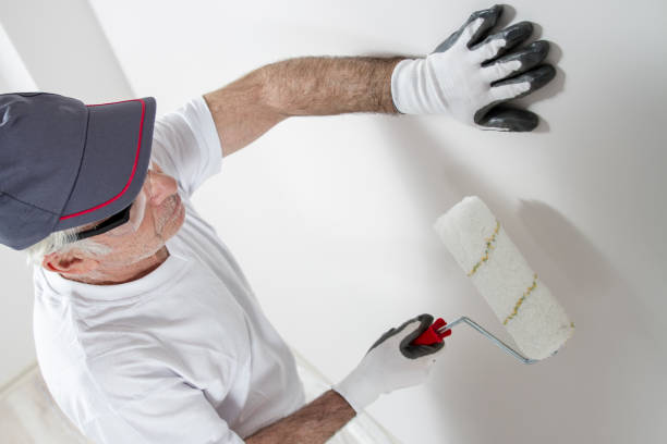 Professional Mold Removal in Ortonville, MI