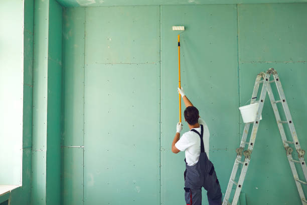  Ortonville, MI Mold Removal Pros